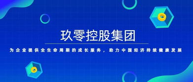 玖零控股集團 以專業(yè)咨詢賦能企業(yè)，驅動管理變革與價值增長